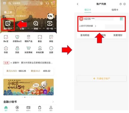 个人农行卡余额查询