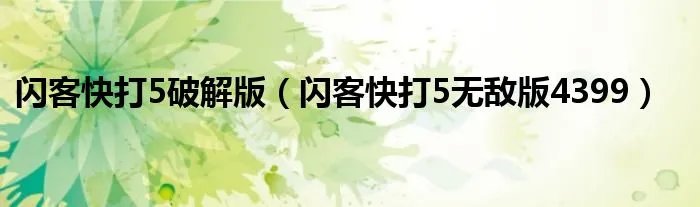 闪客快打5破解版（闪客快打5无敌版4399）