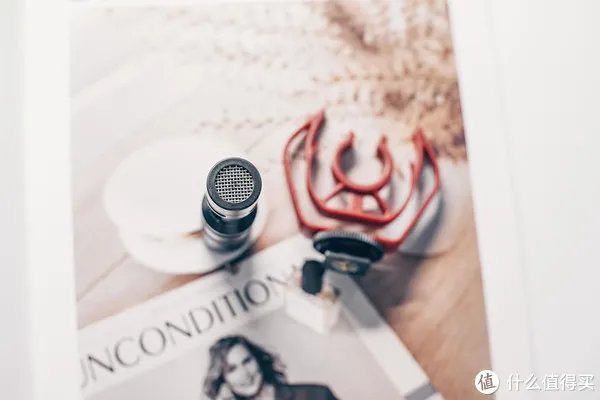 纯铜材质、心形收音-LENSGO朗诗歌DMM1麦克风体验