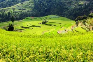 仙居二日游攻略