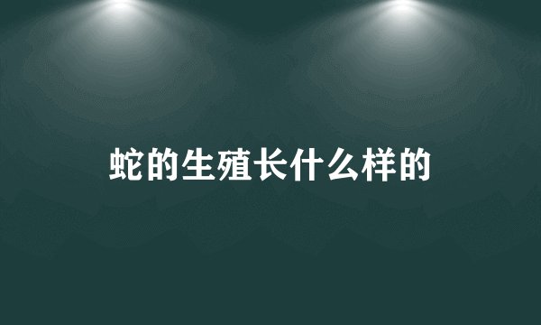 蛇的生殖长什么样的