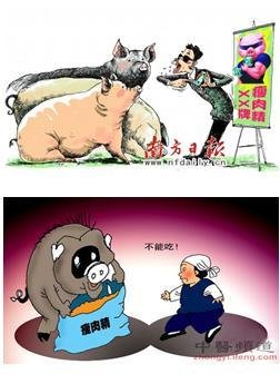 河南瘦肉精事件的介绍