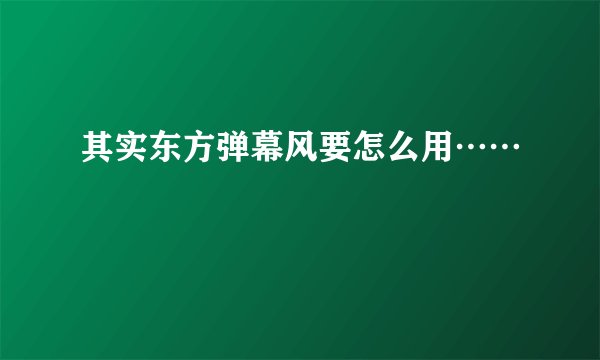 其实东方弹幕风要怎么用……