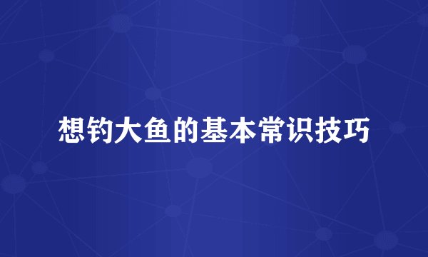 想钓大鱼的基本常识技巧