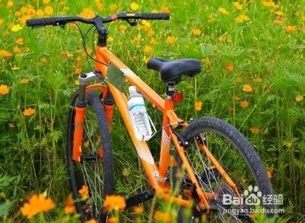 网购自行车怎么样,网购自行车的网站