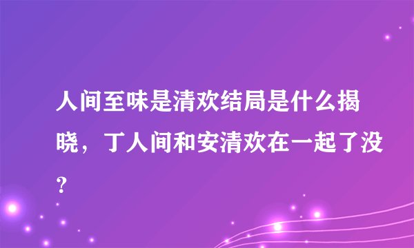 人间至味是清欢结局是什么揭晓，丁人间和安清欢在一起了没？