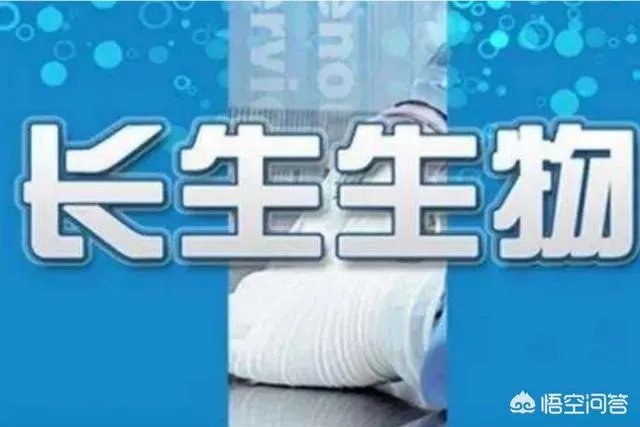 吉林长生生物疫苗造假曝光后对其公司有哪些影响？