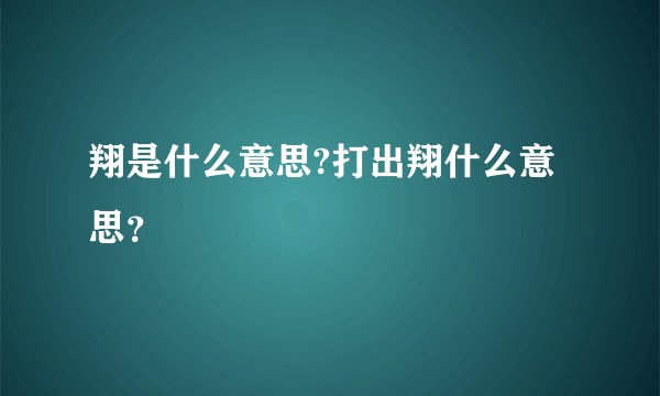 翔是什么意思?打出翔什么意思？