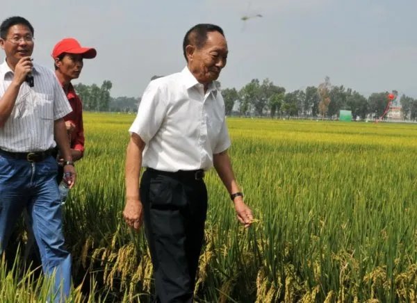 袁隆平又定了两个小目标，分别是什么？