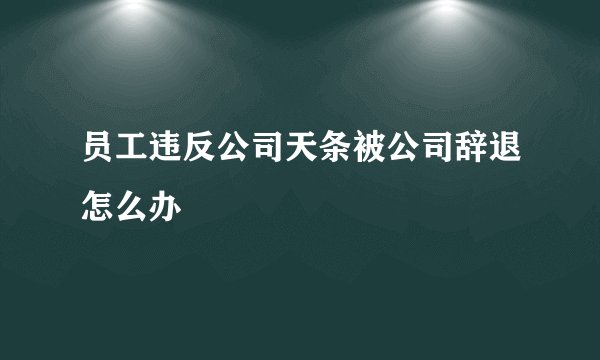 员工违反公司天条被公司辞退怎么办