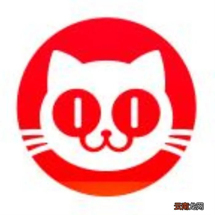 林宥嘉老婆高龄产子 林宥嘉的老婆