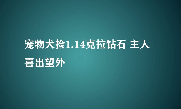 宠物犬捡1.14克拉钻石 主人喜出望外