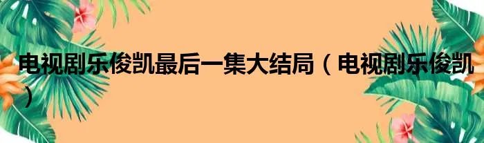 电视剧乐俊凯最后一集大结局（电视剧乐俊凯）