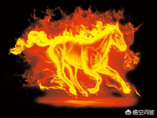 俭让老妈砂锅串串香为什么一下这么火？