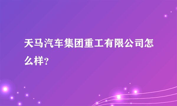 天马汽车集团重工有限公司怎么样？