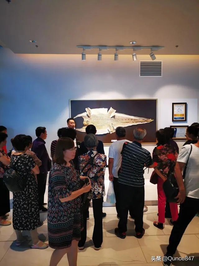 去泰国旅游如何避免被坑？