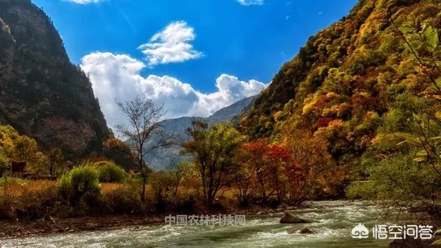 甘孜州丹巴县的特产是什么```？