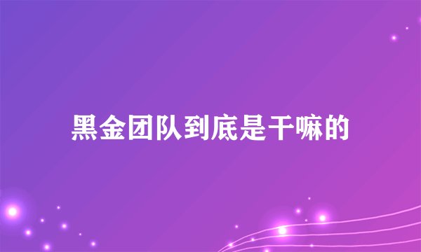 黑金团队到底是干嘛的