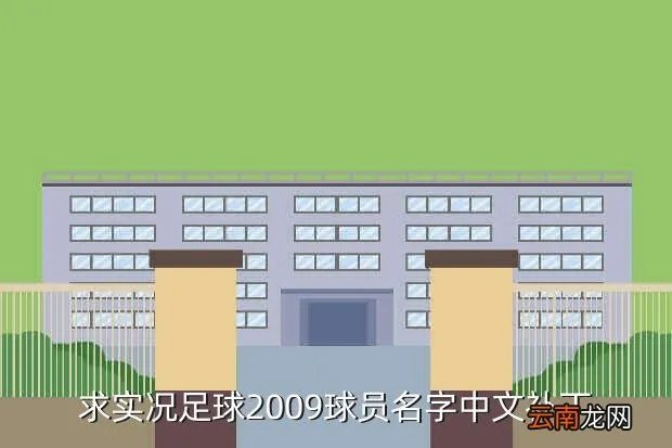 实况足球2013中文名字补丁，为什么实况足球2013解压后找不到注册表