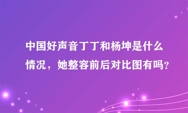 中国好声音丁丁和杨坤是什么情况，她整容前后对比图有吗？