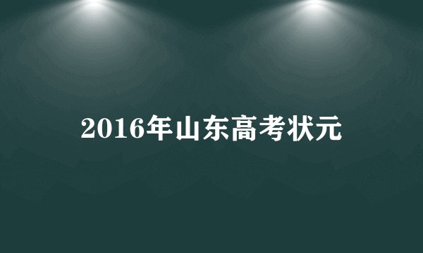 2016年山东高考状元