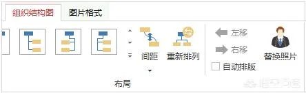 四年级家谱图怎么画？