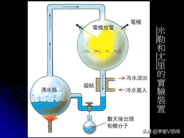 地球演化中有哪些超乎人想象的现象?