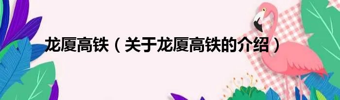 龙厦高铁(关于龙厦高铁的介绍)
