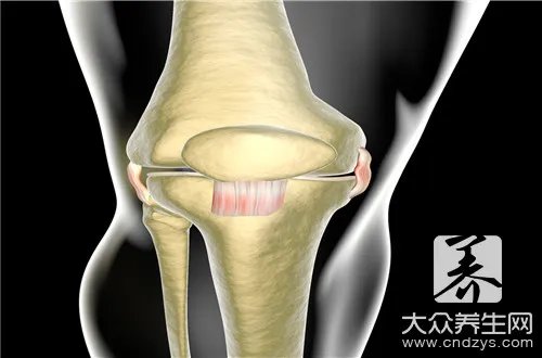  股骨头康复治疗仪