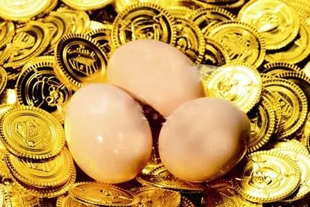 如何用1000元去创业