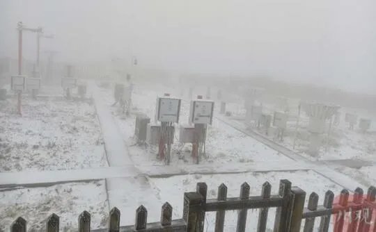 峨眉山迎今年入秋来第一场雪 被白雪包裹分外诗意