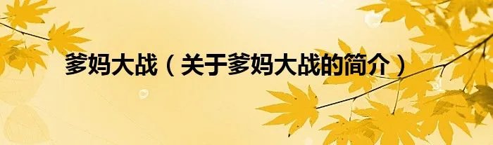 爹妈大战（关于爹妈大战的简介）