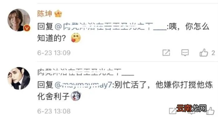 陈坤儿子生母疑曝光 陈坤儿子的妈妈