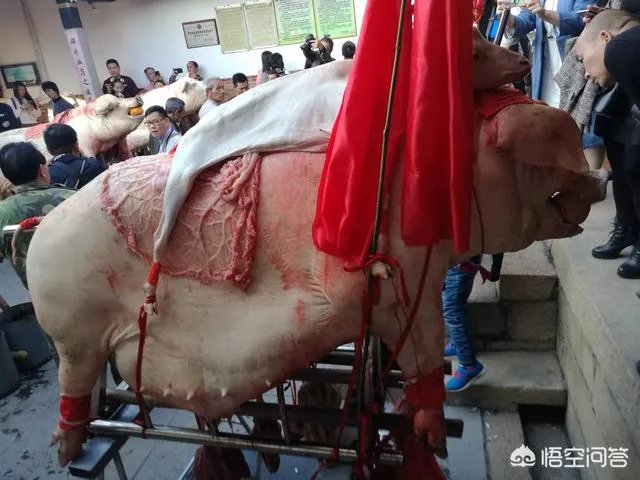 漳州古山重好玩吗？