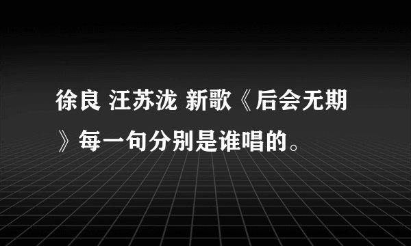 徐良 汪苏泷 新歌《后会无期》每一句分别是谁唱的。