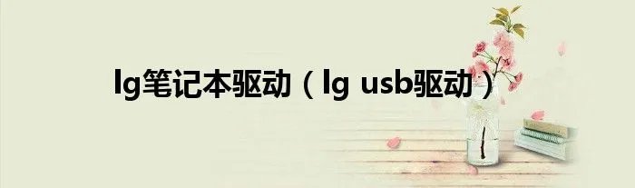 lg笔记本驱动（lg usb驱动）