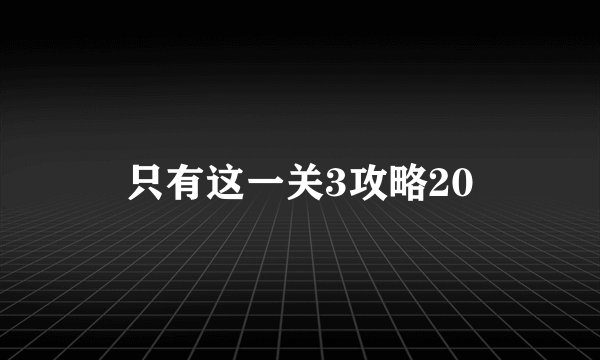 只有这一关3攻略20