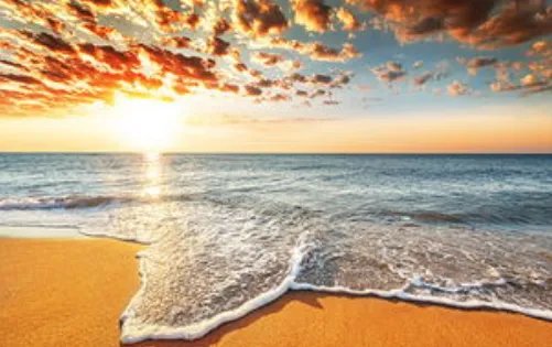 漳州11人被卷入海水身亡，死者的落水原因是什么？