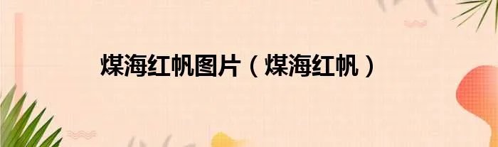 煤海红帆图片（煤海红帆）