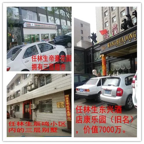 任林生的事件介绍