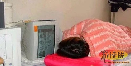 学生宿舍养鳄鱼当宠物 盘点让人眼界大开的宿舍