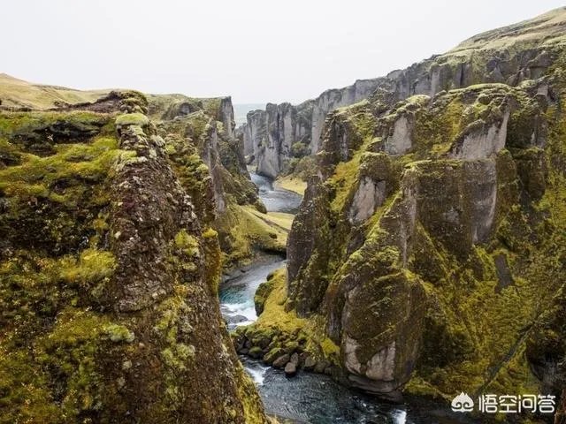 地球演化中有哪些超乎人想象的现象?