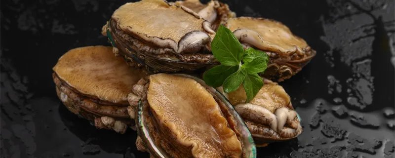 鲍鱼怎么清洗 鲍鱼怎么清洗制作