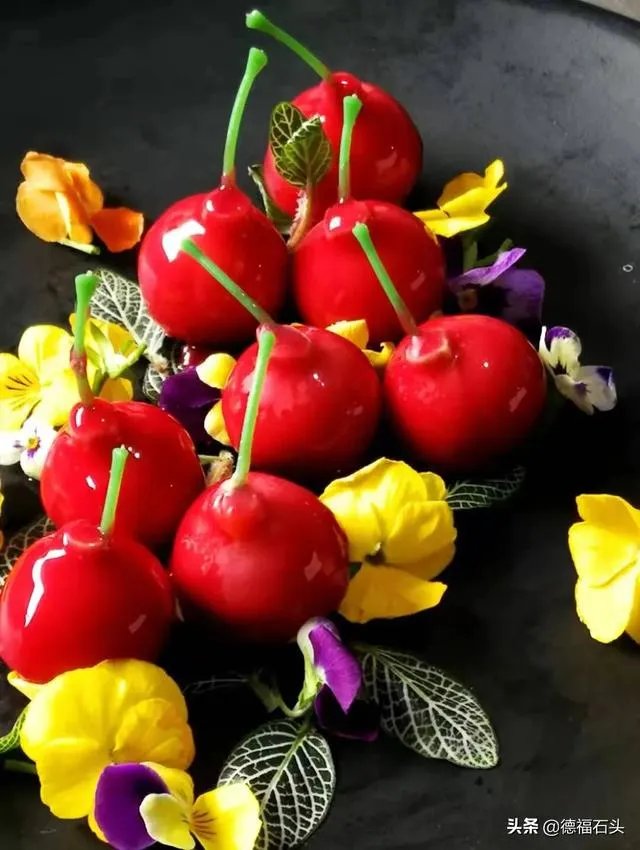 房车旅行可以带猫吗？为什么？