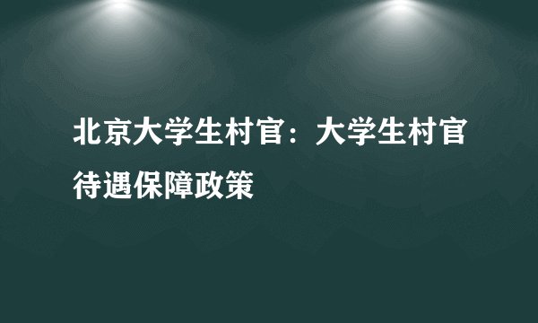 北京大学生村官：大学生村官待遇保障政策