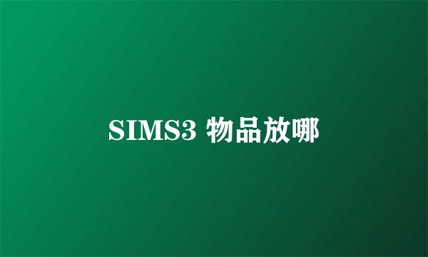 SIMS3 物品放哪