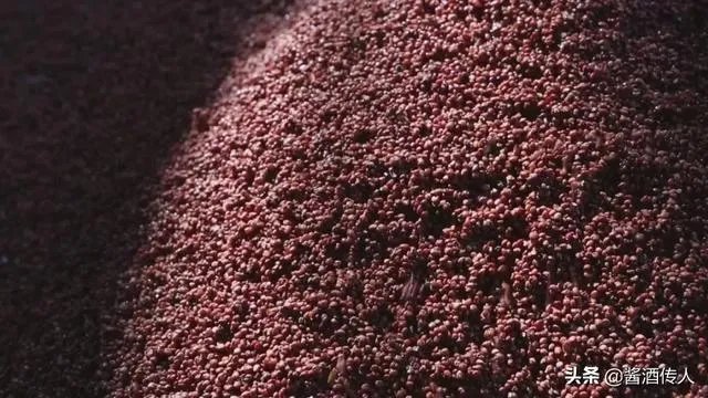 白酒为什么能涨这么多？