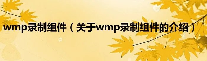 wmp录制组件(关于wmp录制组件的介绍)