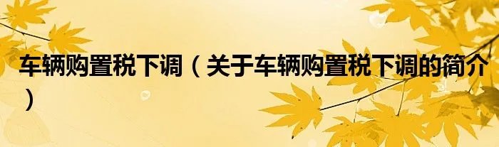 车辆购置税下调（关于车辆购置税下调的简介）
