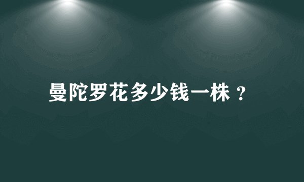曼陀罗花多少钱一株 ?